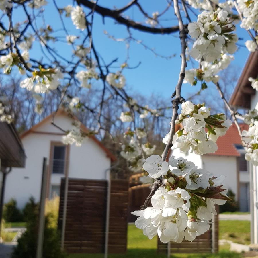 Kenese-Voelgye Villahotel Balatonkenese Exterior foto